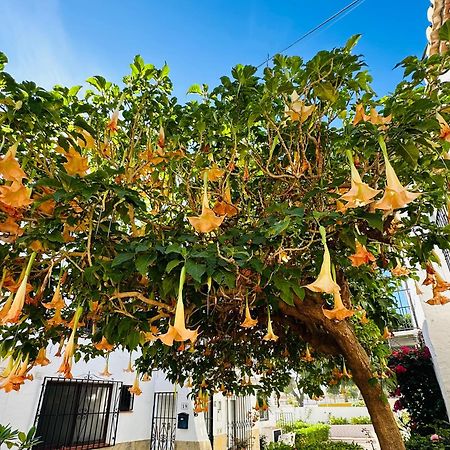 Right By The Pool Area In Capistrano Village! Nerja Exterior photo